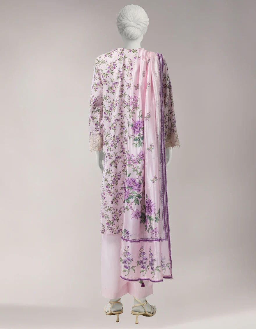 Women Clothes