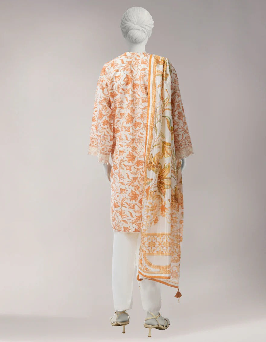 Women Clothes