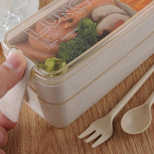 2 in 1 Lunch Box