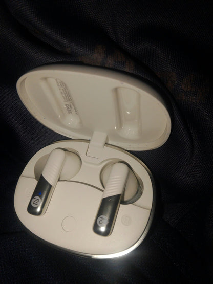 Opal ANC Earbuds