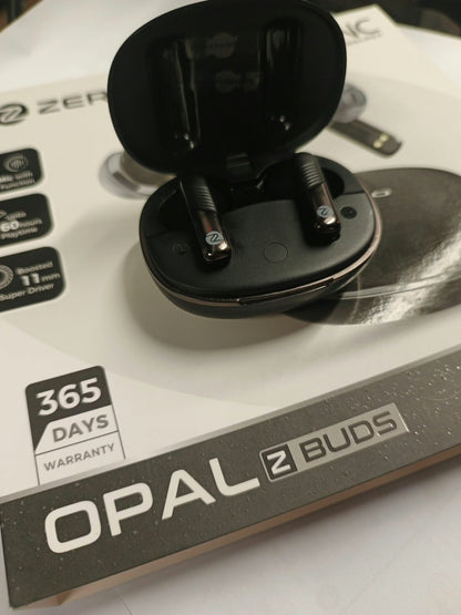 Opal ANC Earbuds